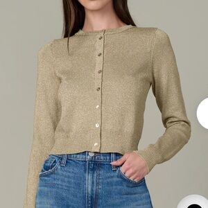 Joe’s Metallic Cardigan